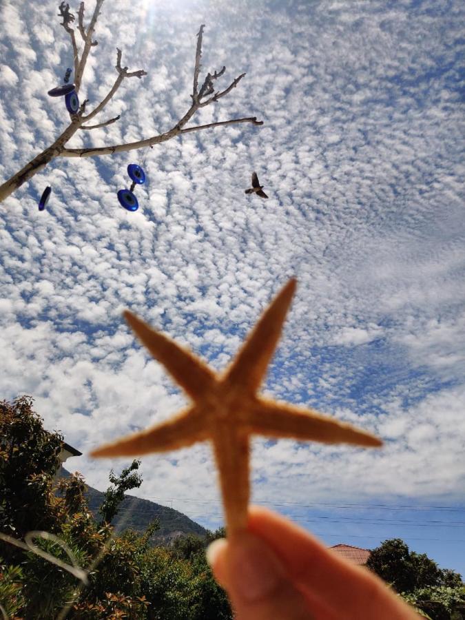Cc'S Butik Hotel Oludeniz Kültér fotó
