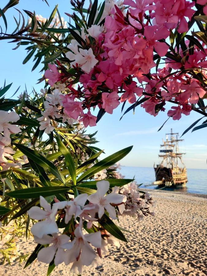 Cc'S Butik Hotel Oludeniz Kültér fotó