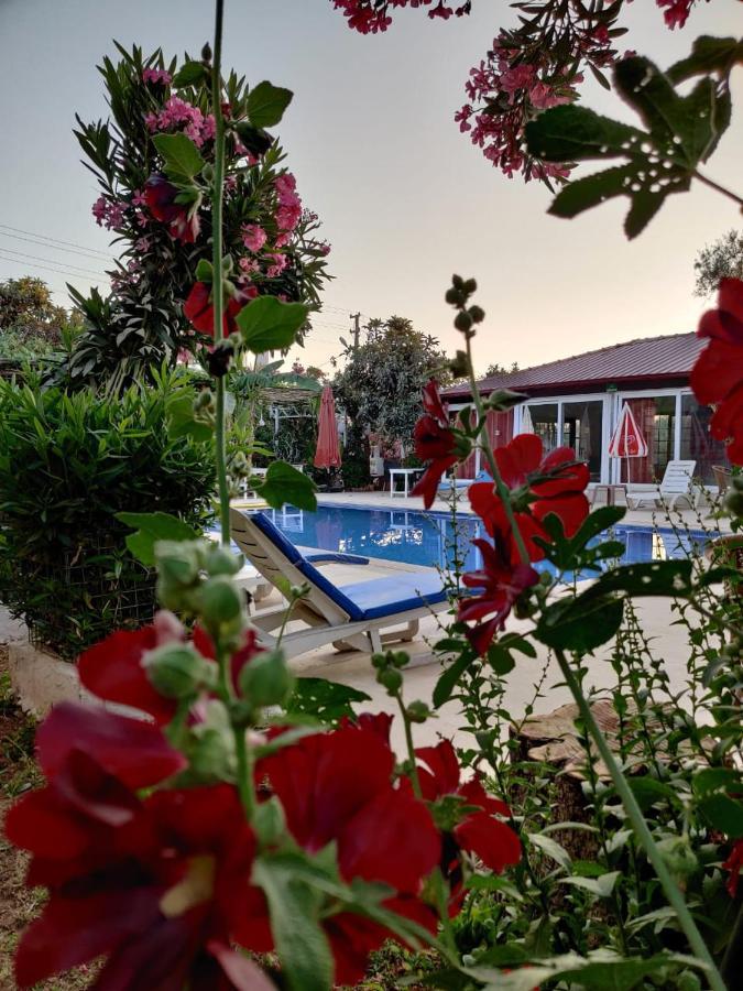 Cc'S Butik Hotel Oludeniz Kültér fotó