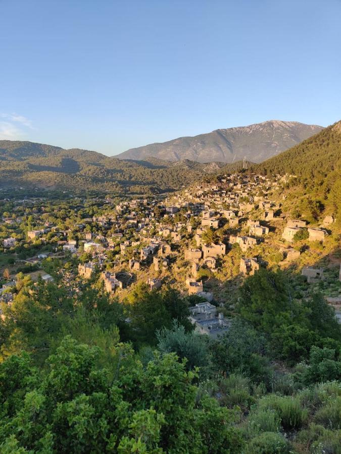 Cc'S Butik Hotel Oludeniz Kültér fotó