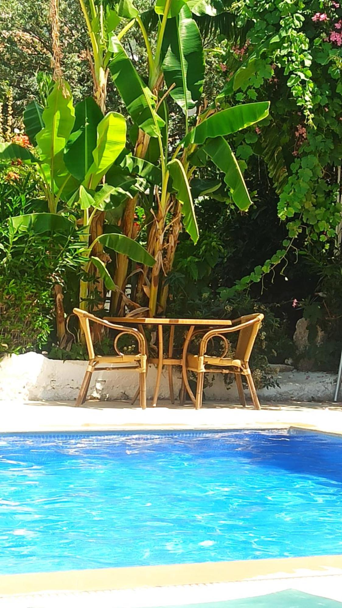 Cc'S Butik Hotel Oludeniz Kültér fotó