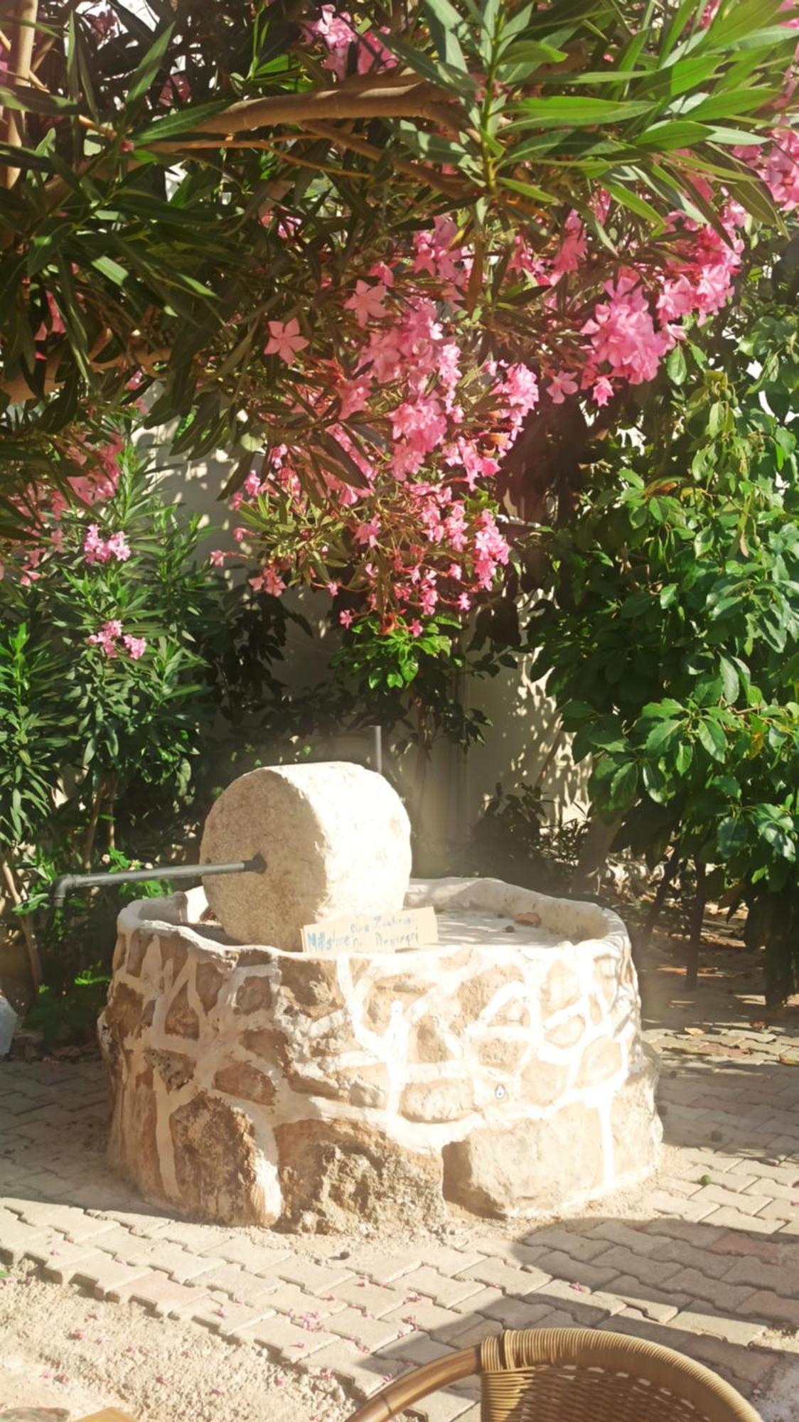Cc'S Butik Hotel Oludeniz Kültér fotó
